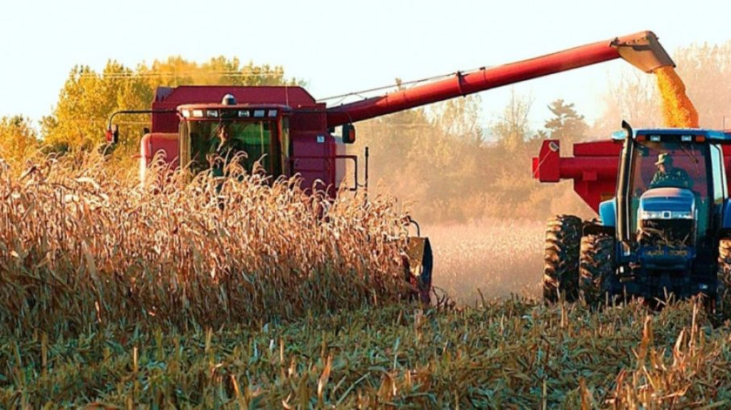 El recorte de maíz de USDA podría beneficiar a la Argentina. Por las malas políticas los productores se inclinarían a sembrar más soja