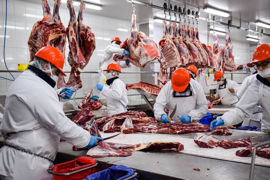 Récord en exportaciones de carne en el mes de mayo, el tercero más alto de la historia pero con precios bajos
