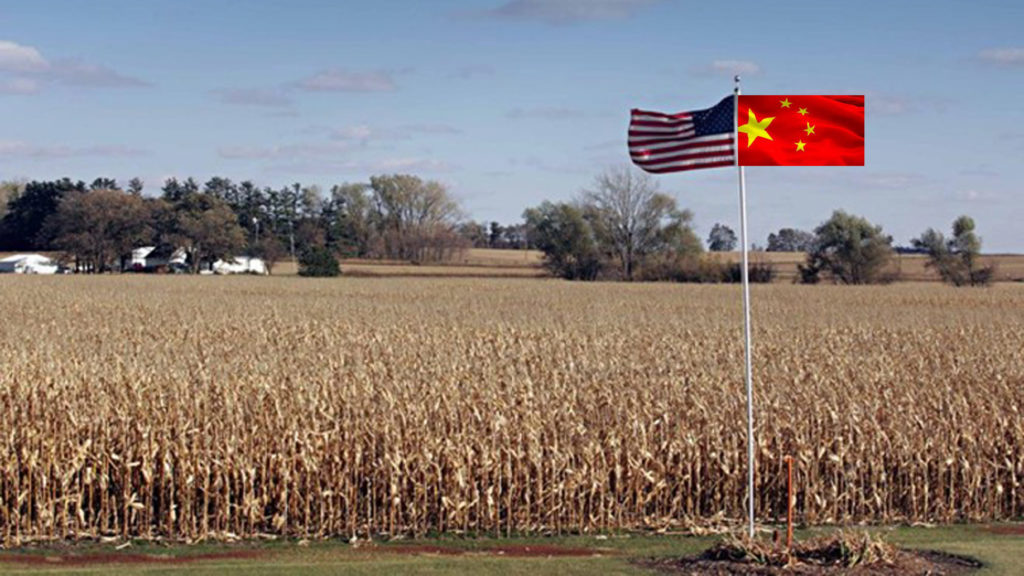 La semana pasada se hicieron negocios de maíz por 180 USS y el gran ganador fue el trigo. Esta semana a la espera de China y EE.UU