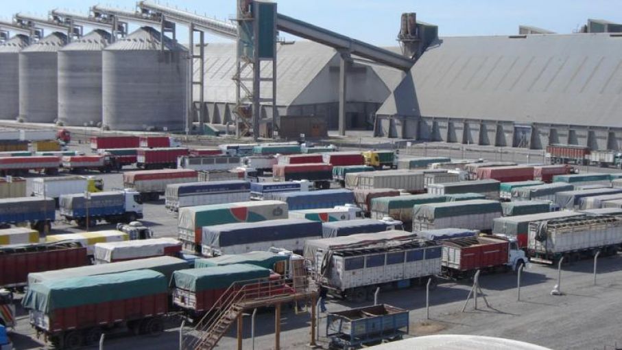 Situación en los puertos: «El 70 % de las demoras en los puertos no se debe al paro sino a los bajos rindes en maíz de primera»