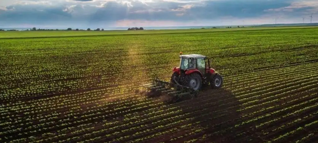 Turquía: alfalfa, riego y bioetanol a base de remolacha azucarera