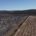 Incendios en Córdoba: “La culpa es por la inacción de la Secretaría de ambiente”
