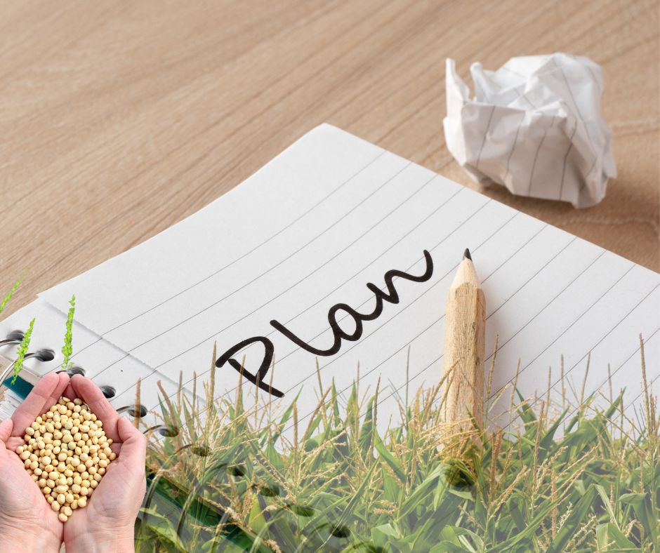 Planificación: Momentos de control en la empresa Agropecuaria